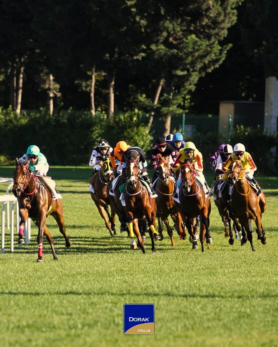Veliefendi: il più grande ippodromo di Turchia